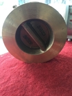 Double Disc Wafer Type Bronze NRV Check Valve