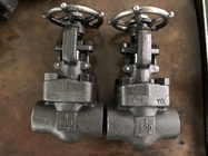 SW &amp; NPT Ends Forged 800lb Heavy Duty Metal Gate Valve