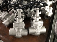 Forged Steel NPT &amp; SW End Globe Stop Valve