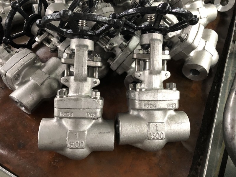 Forged Steel NPT &amp; SW End Globe Stop Valve