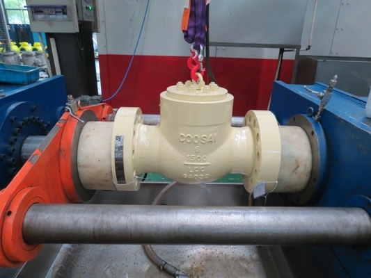 API6D Non Return Pressure Seal Swing Check Valve