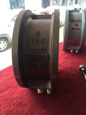 Double Disc Wafer Type Bronze NRV Check Valve